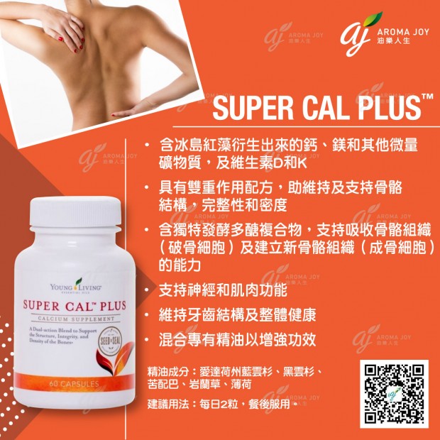Super Cal Plus